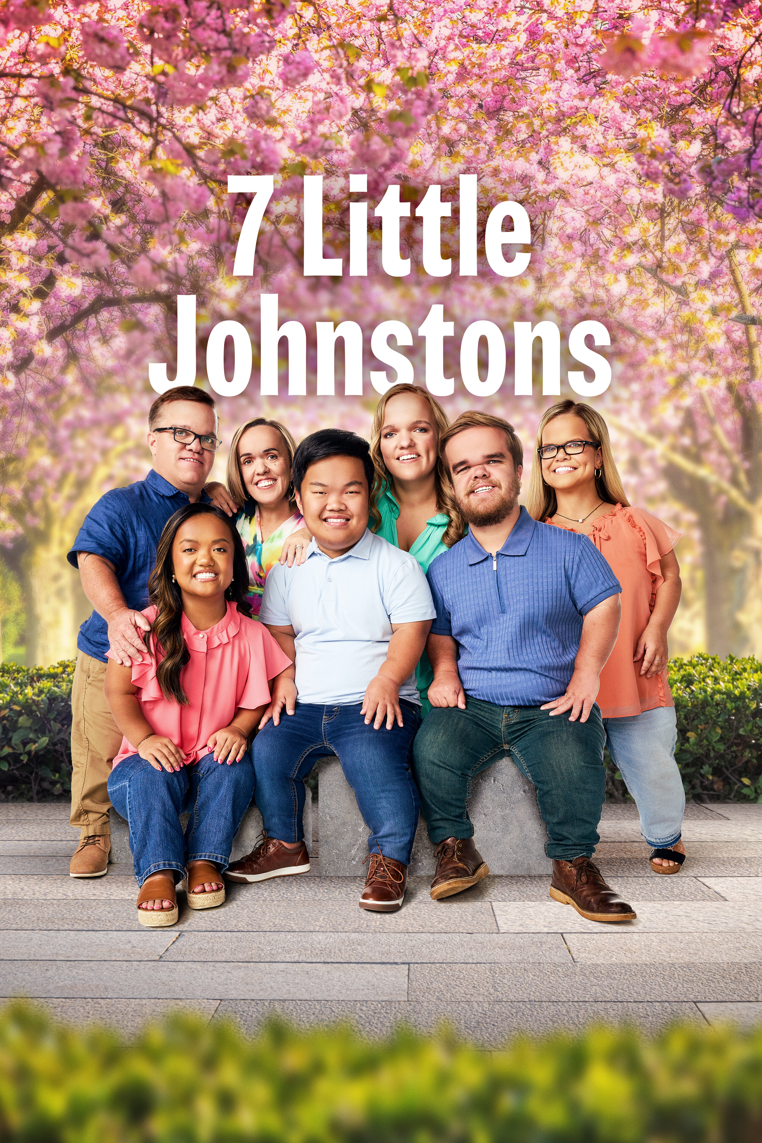 7 Little Johnstons poster
