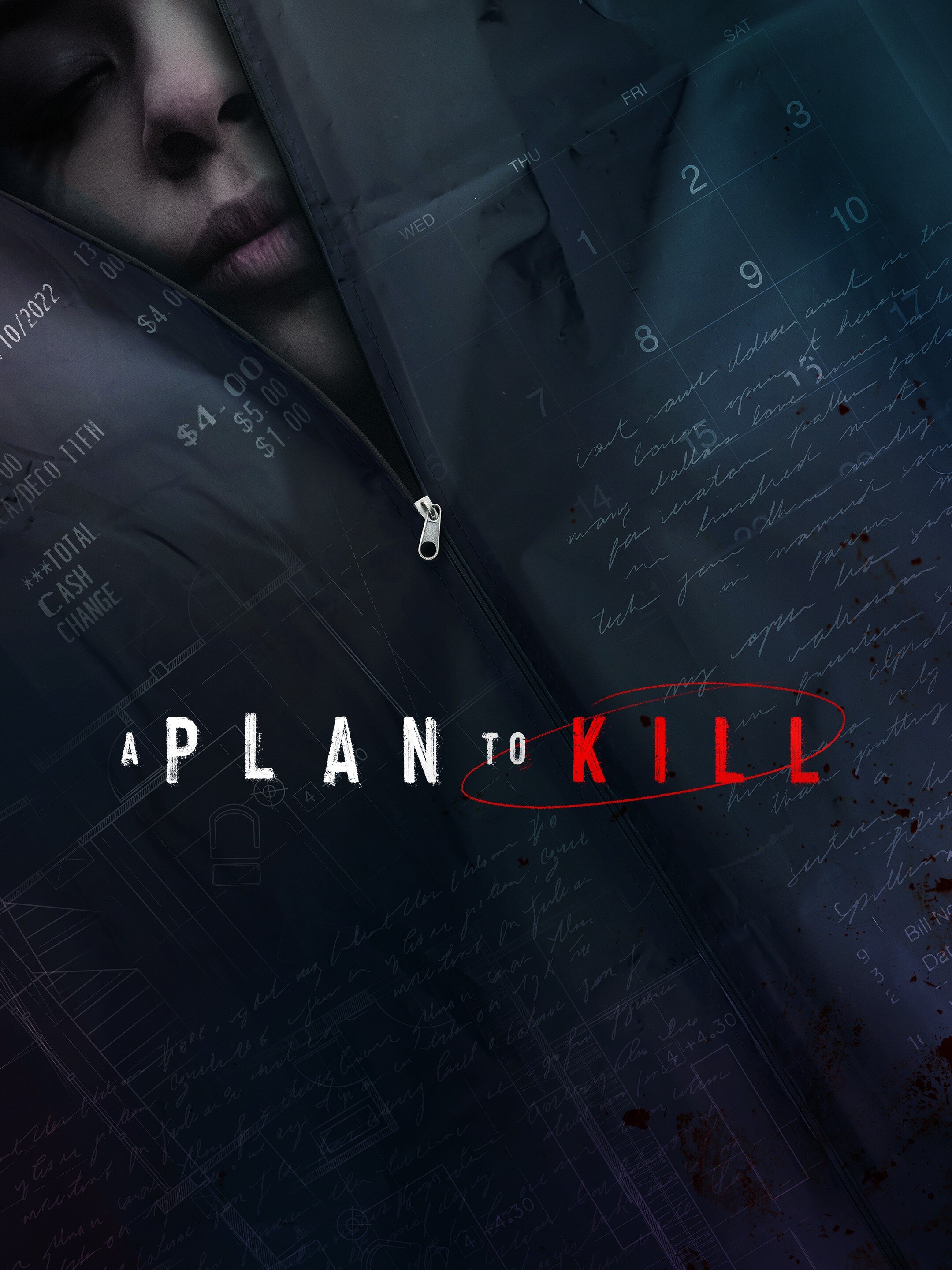 A Plan to Kill poster