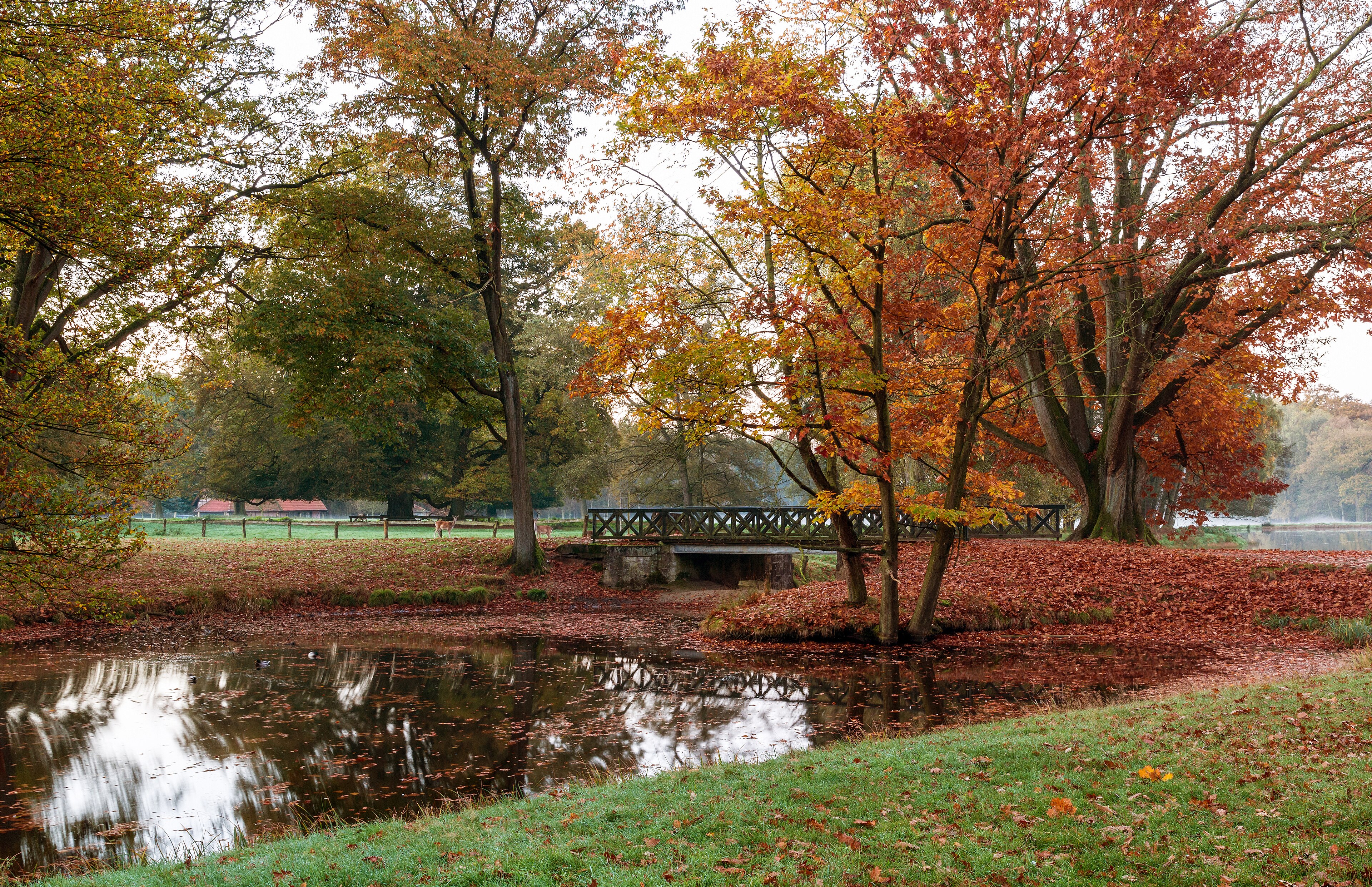 An Autumn Summer poster
