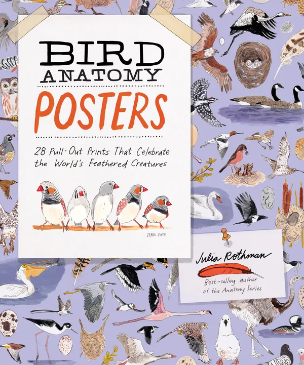 Bird Anatomy Posters poster