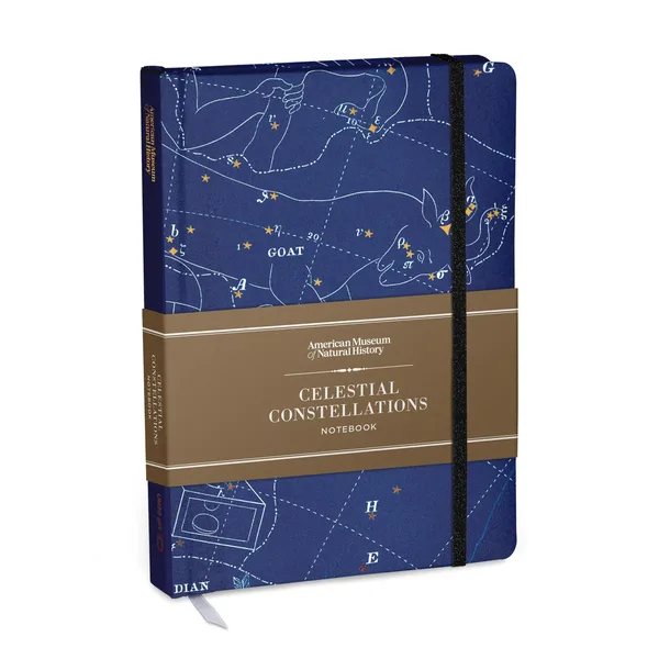 Celestial Constellations Notebook poster