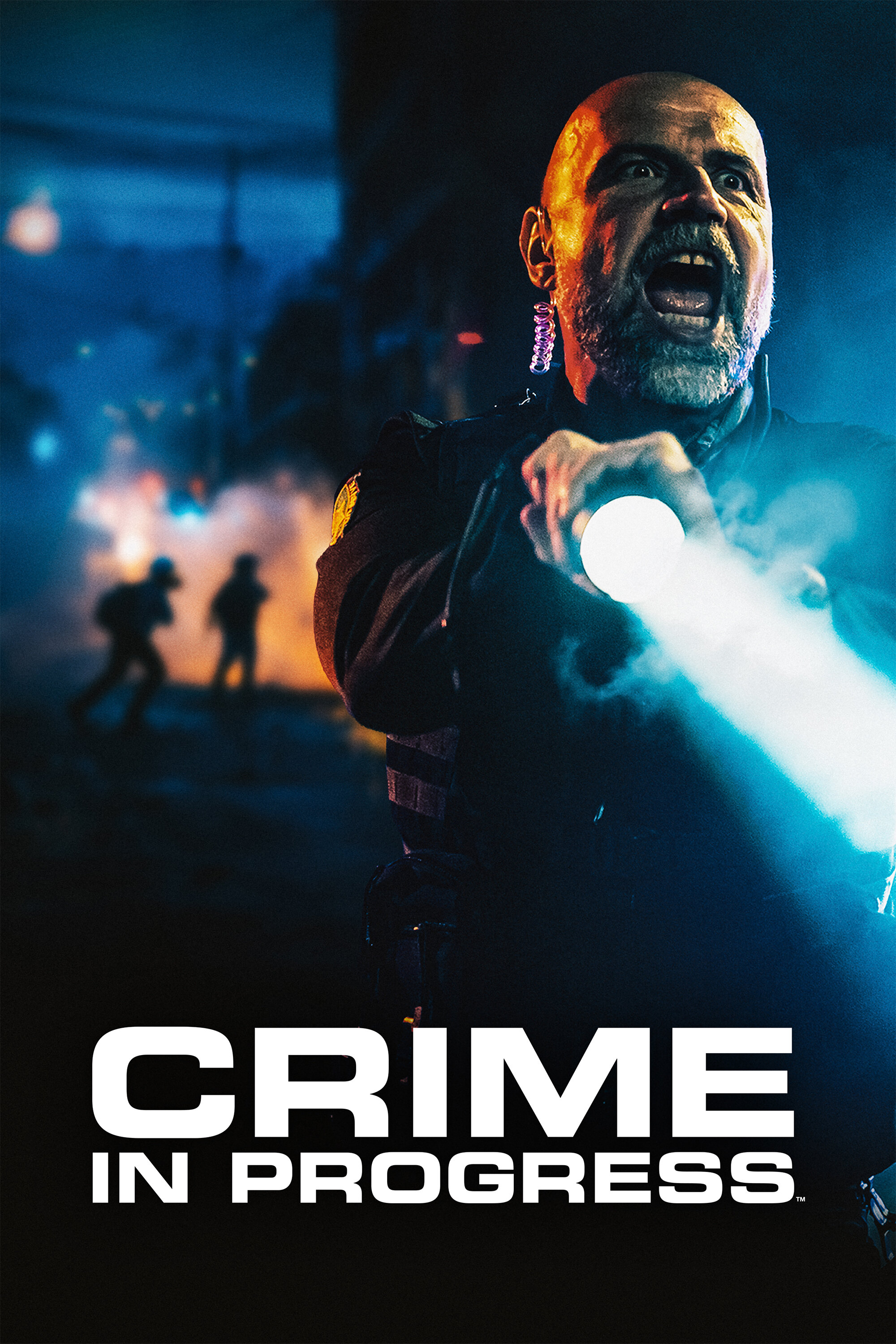 Crime in Progress poster