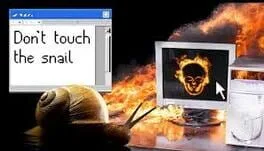 Don't Touch the Snail poster