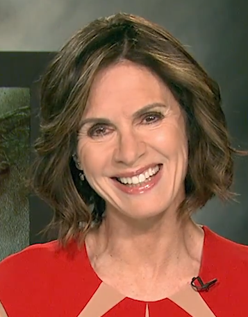 Elizabeth Vargas Reports poster