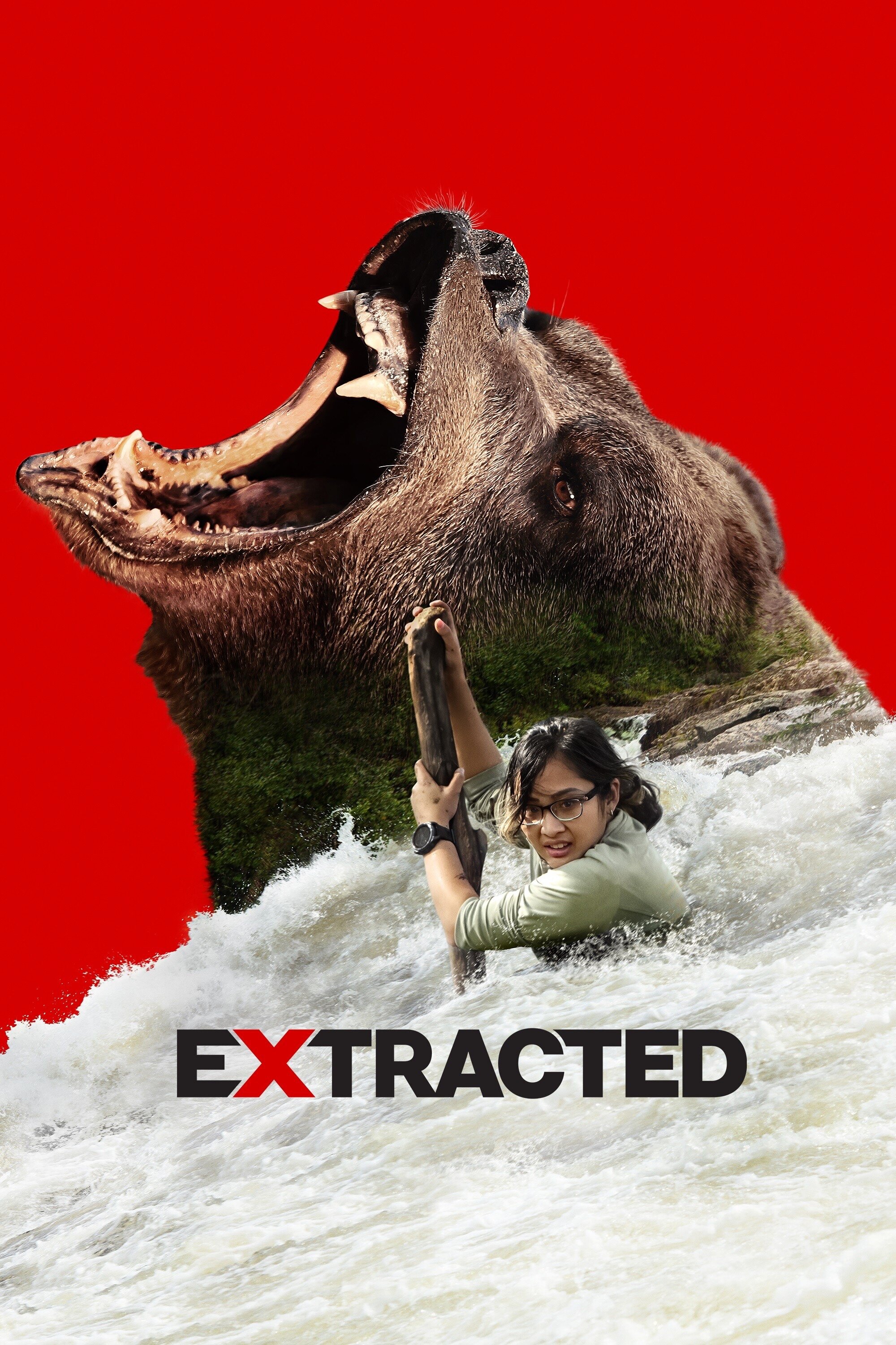 Extracted poster