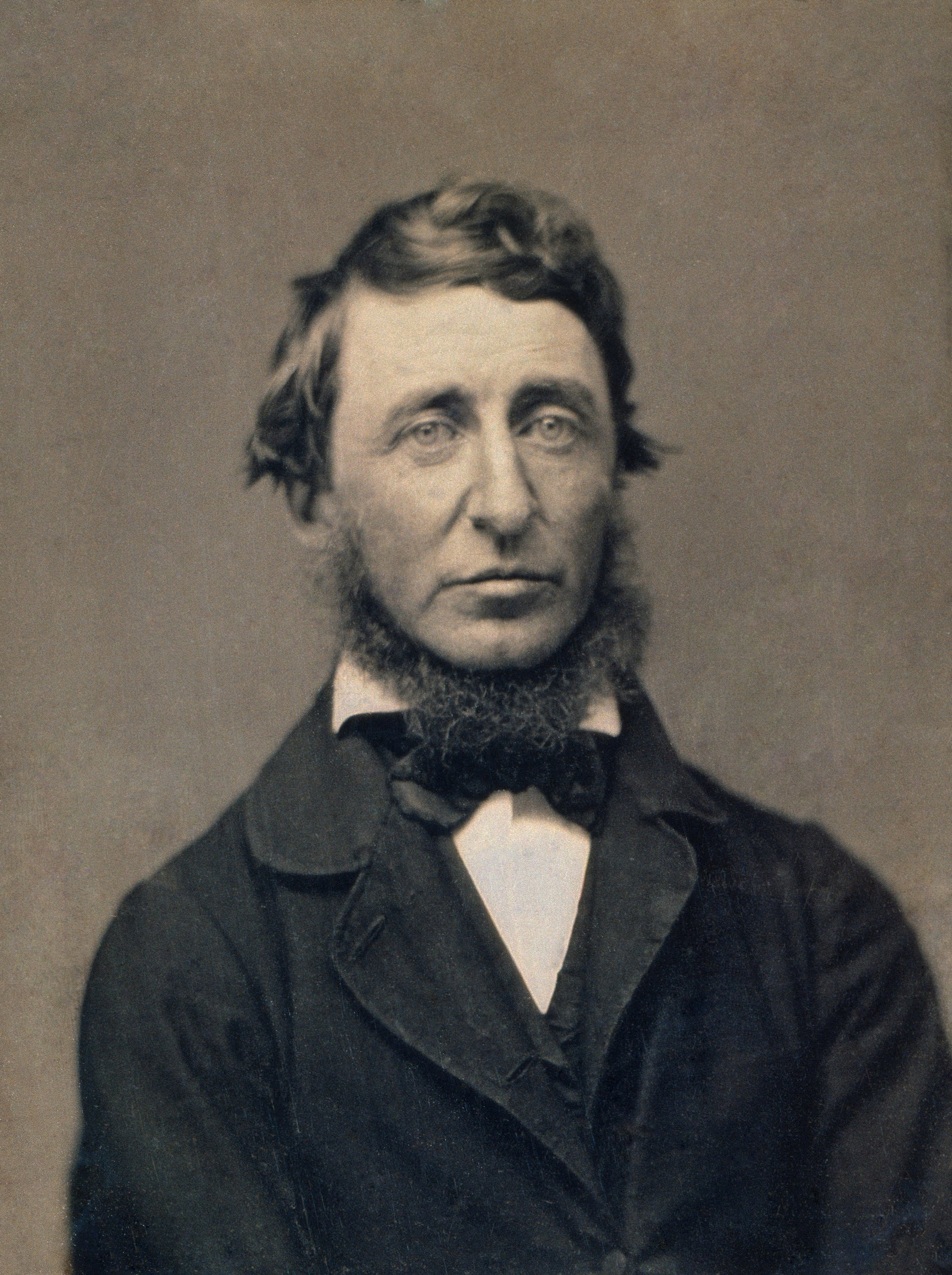 Henry David Thoreau poster