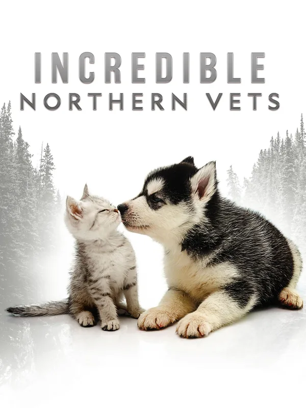 Incredible Northern Vets poster