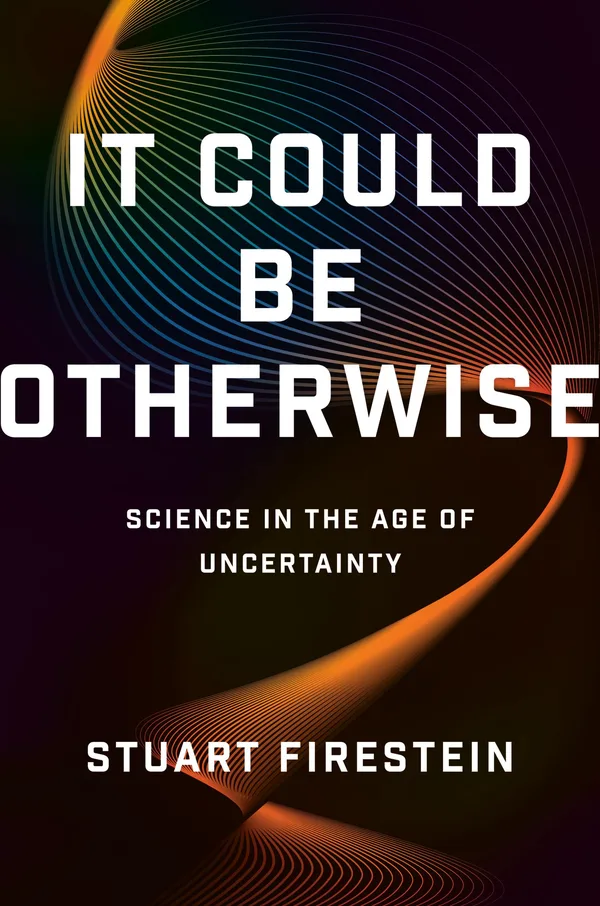 It Could Be Otherwise poster