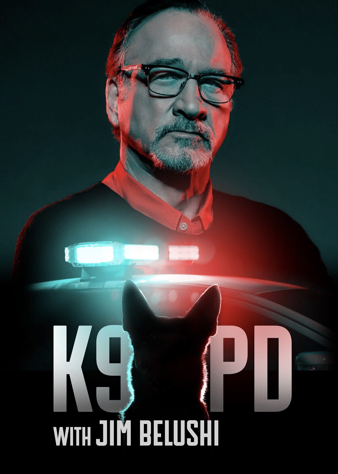 K9 PD with Jim Belushi poster