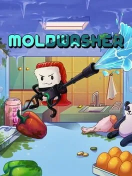 Moldwasher poster