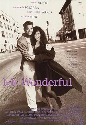 Mr. Wonderful poster