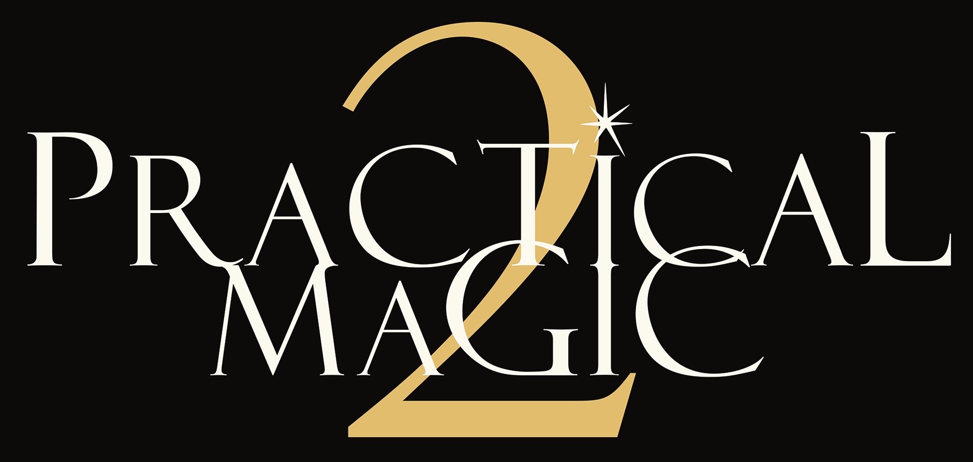 Practical Magic 2 poster