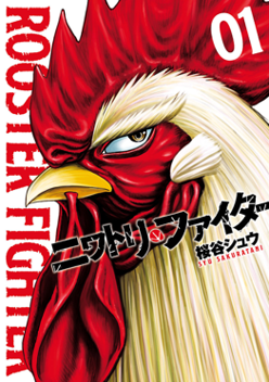 Rooster Fighter poster