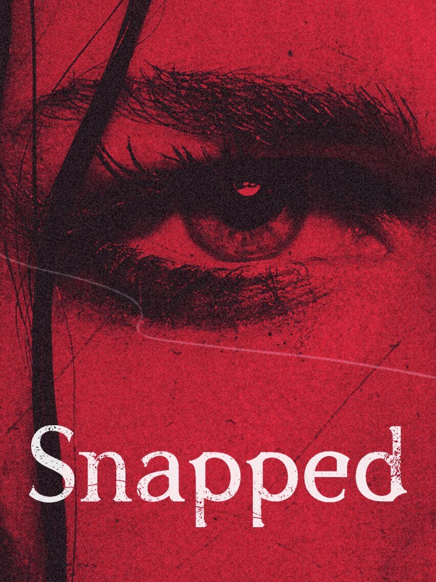 Snapped poster