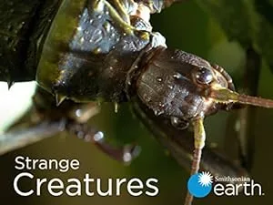 Strange Creatures poster