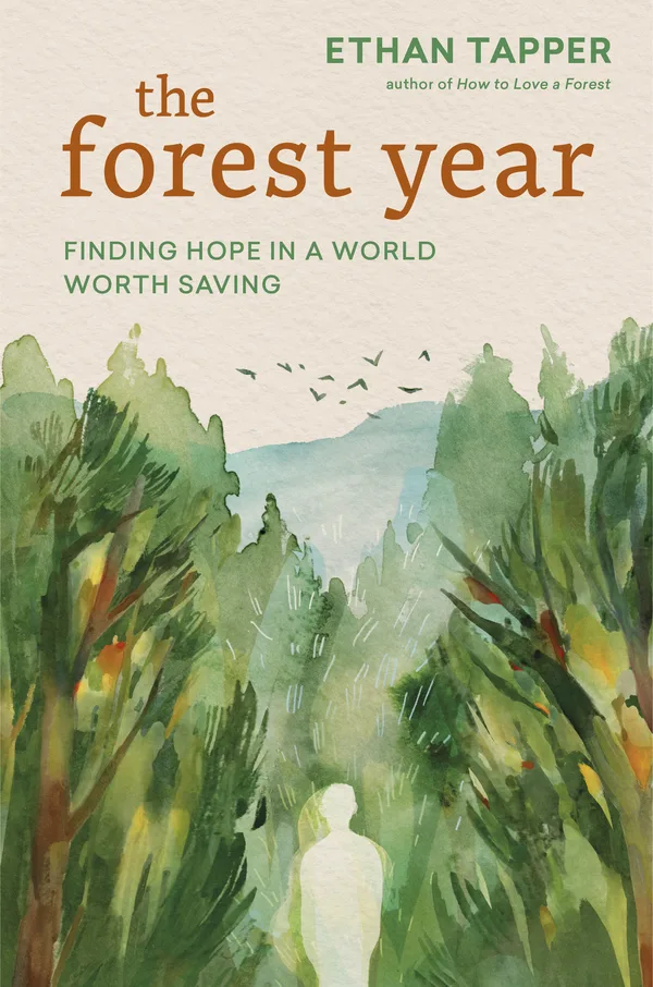The Forest Year poster