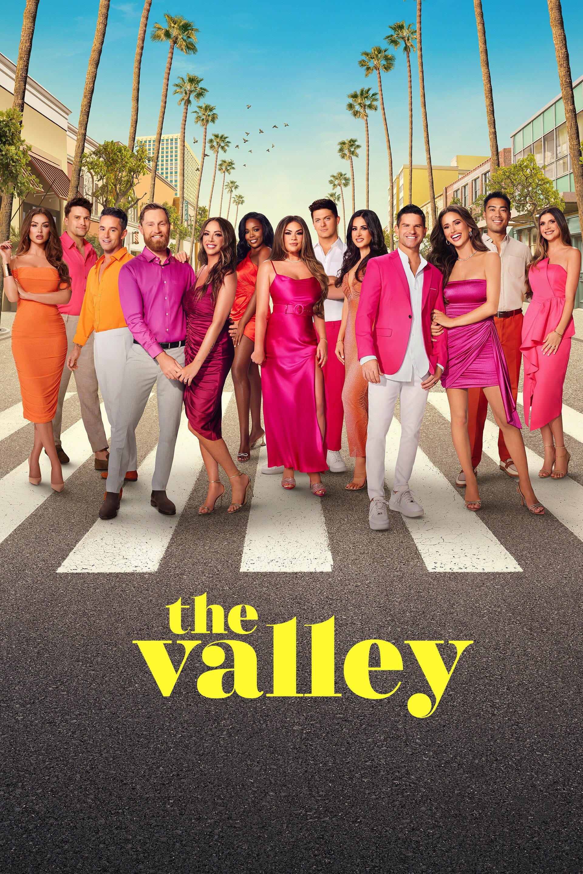 The Valley poster