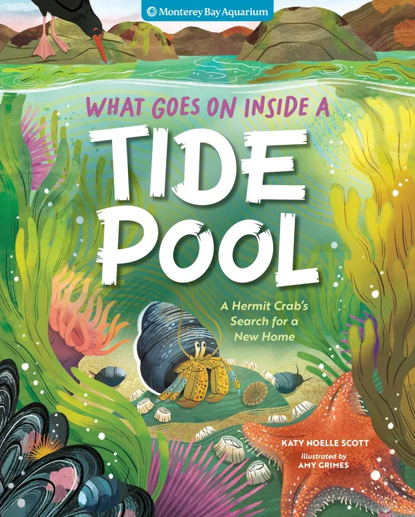 What Goes On Inside a Tide Pool poster